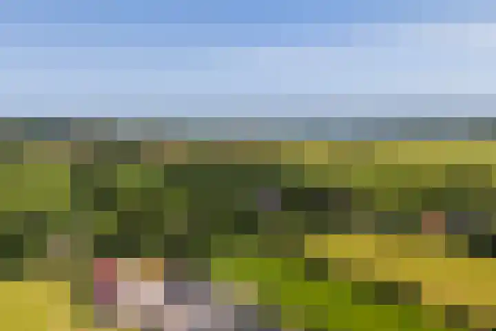 Lânsbuorren 7 Sumar thumbnail 40