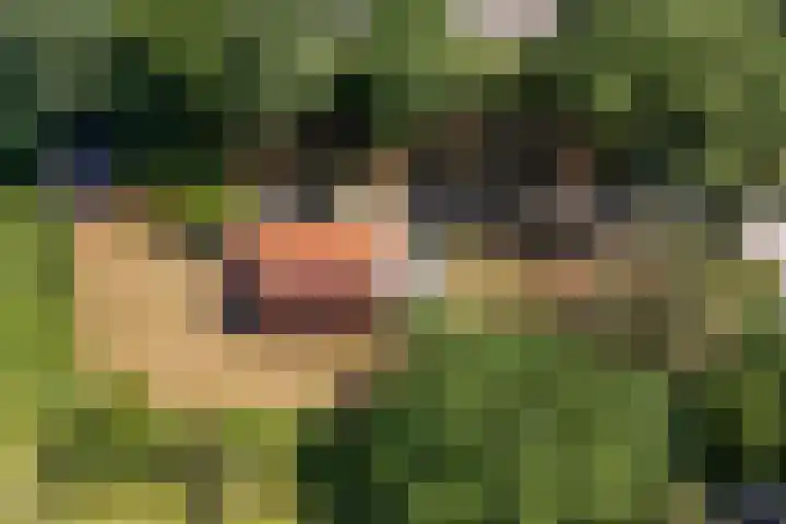 Lânsbuorren 7 Sumar thumbnail 43