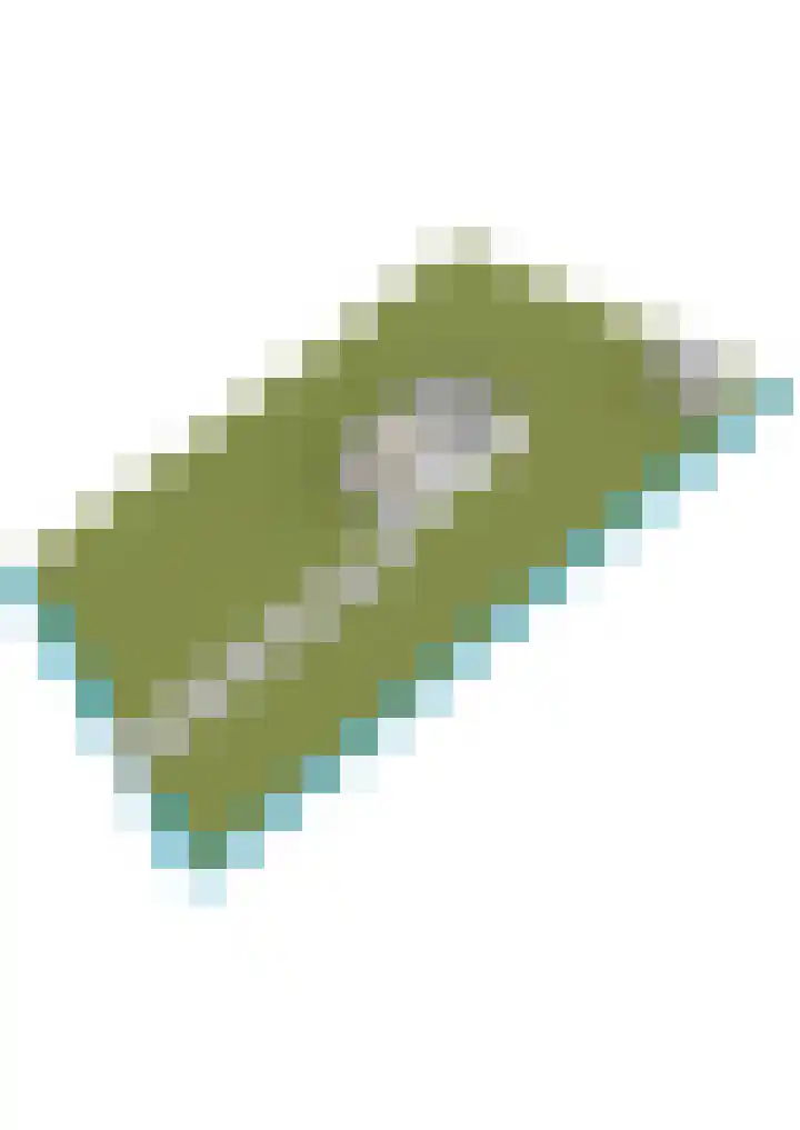 Lânsbuorren 7 Sumar thumbnail 55