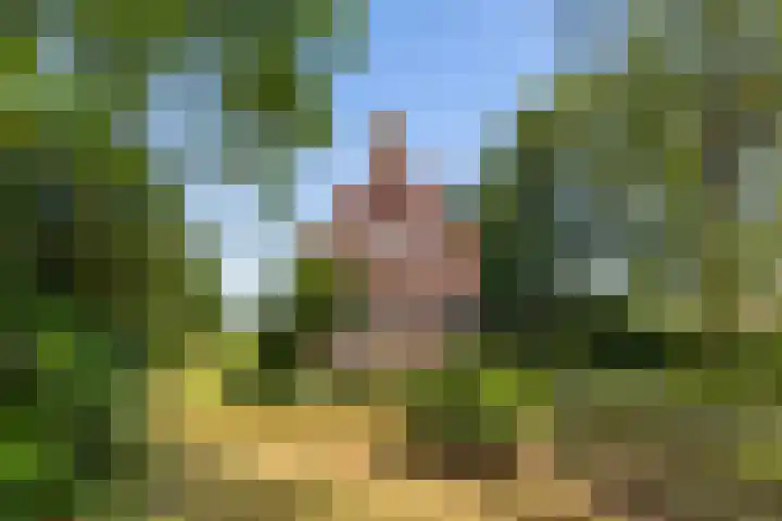 Lânsbuorren 7 Sumar thumbnail 6