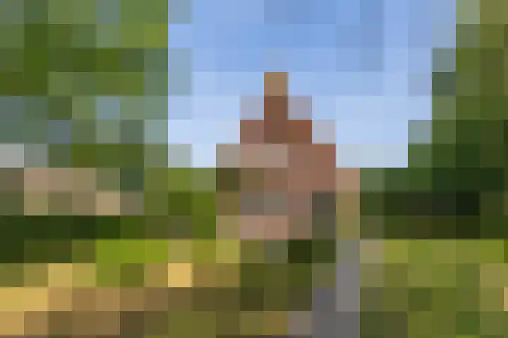 Lânsbuorren 7 Sumar thumbnail 7