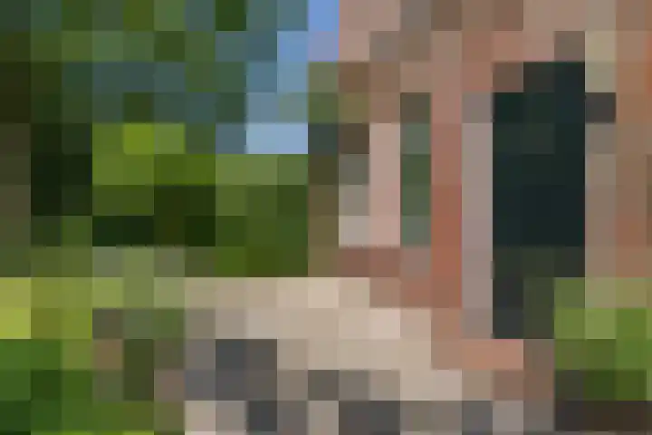 Lânsbuorren 7 Sumar thumbnail 9