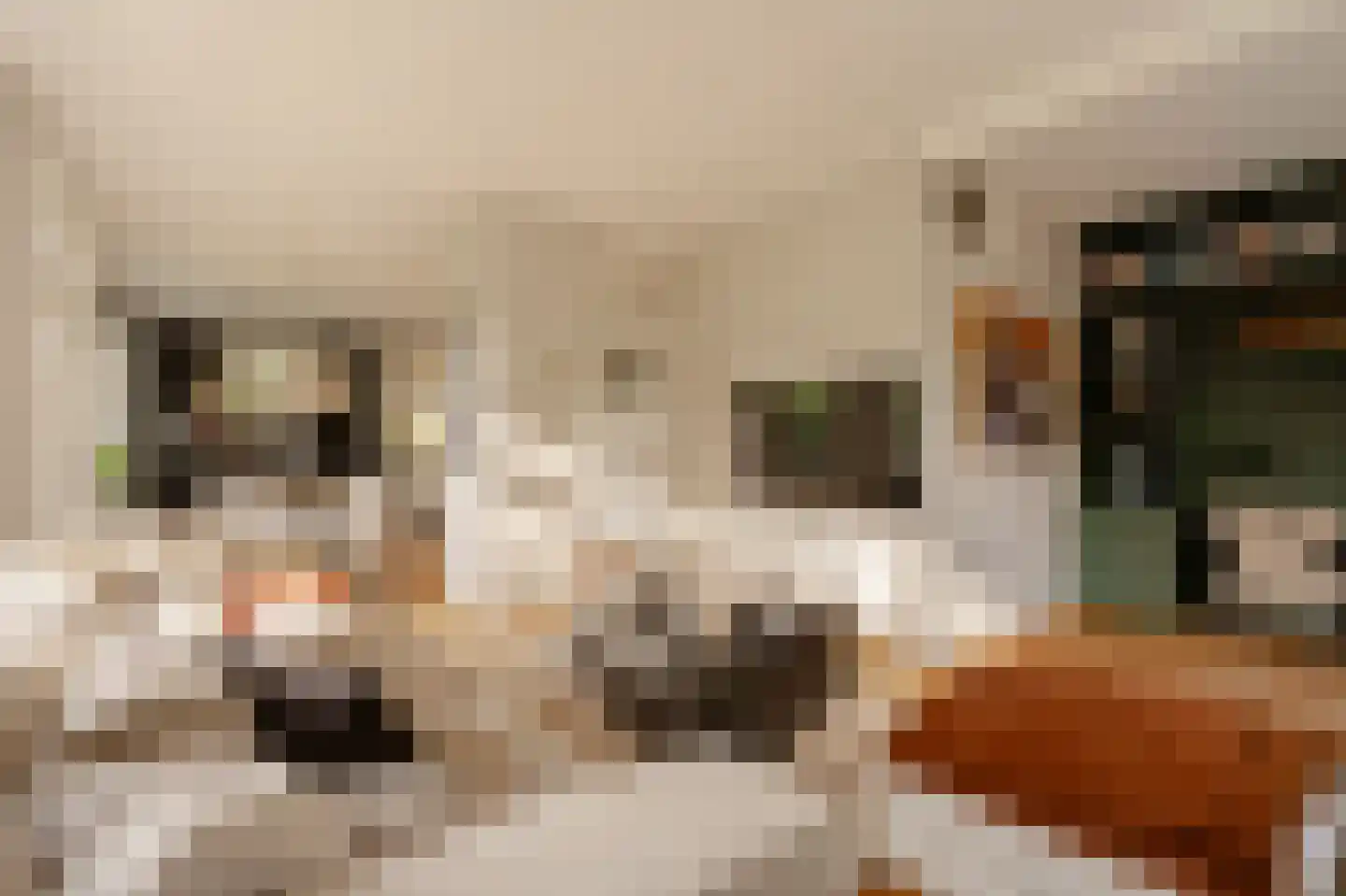 Lanseloetstraat 1 H Amsterdam thumbnail 14