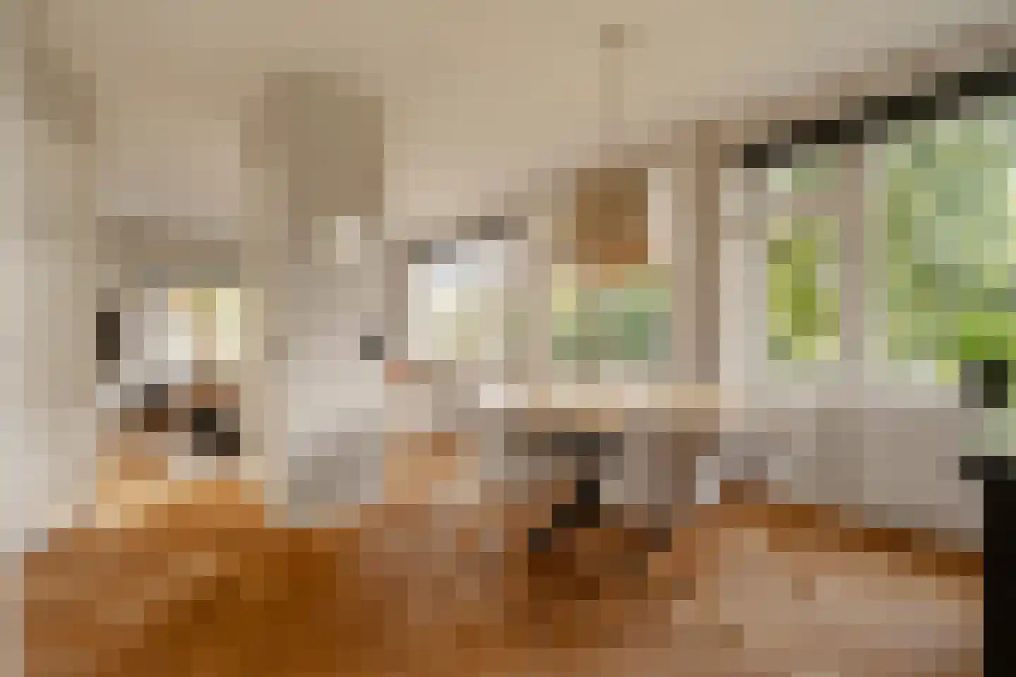 Lanseloetstraat 1 H Amsterdam thumbnail 23