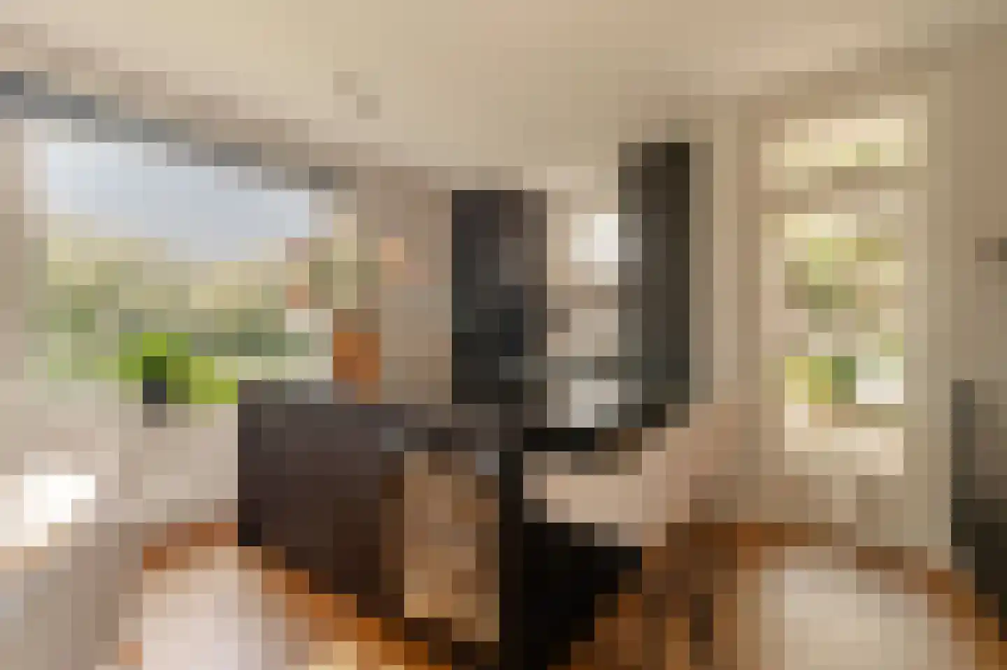 Lanseloetstraat 1 H Amsterdam thumbnail 24