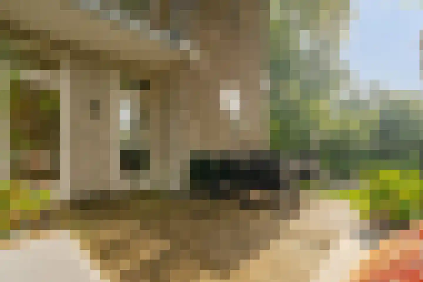 Lanseloetstraat 1 H Amsterdam thumbnail 30