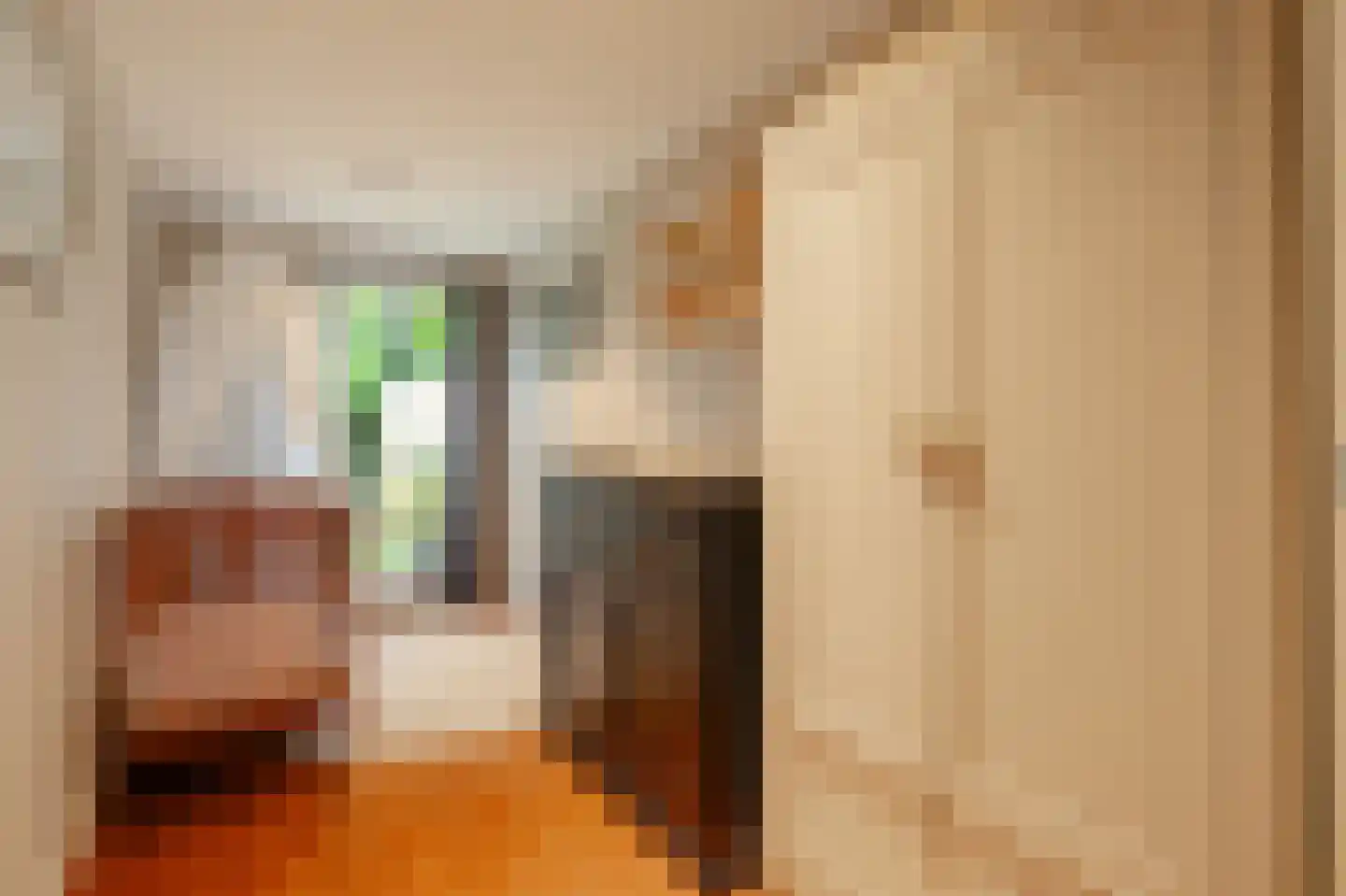 Lanseloetstraat 1 H Amsterdam thumbnail 38