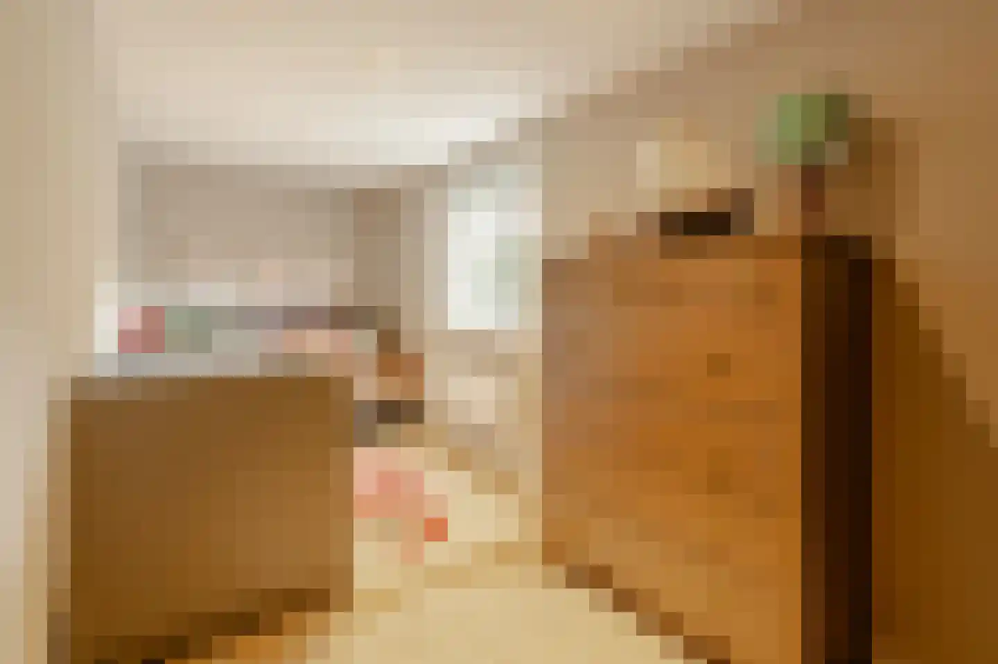 Lanseloetstraat 1 H Amsterdam thumbnail 42