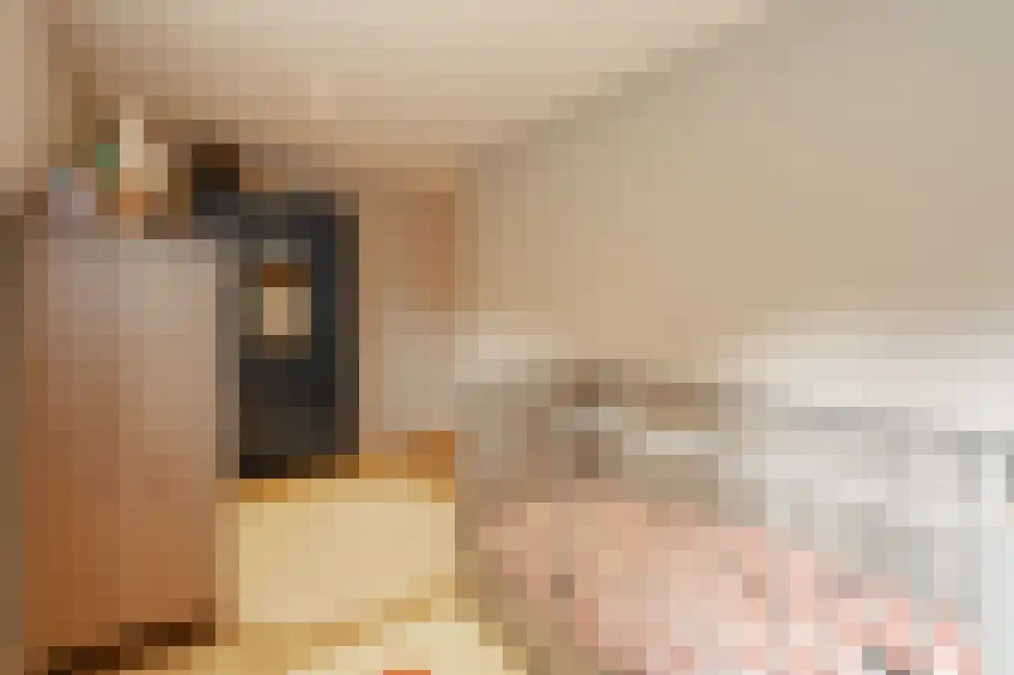 Lanseloetstraat 1 H Amsterdam thumbnail 43