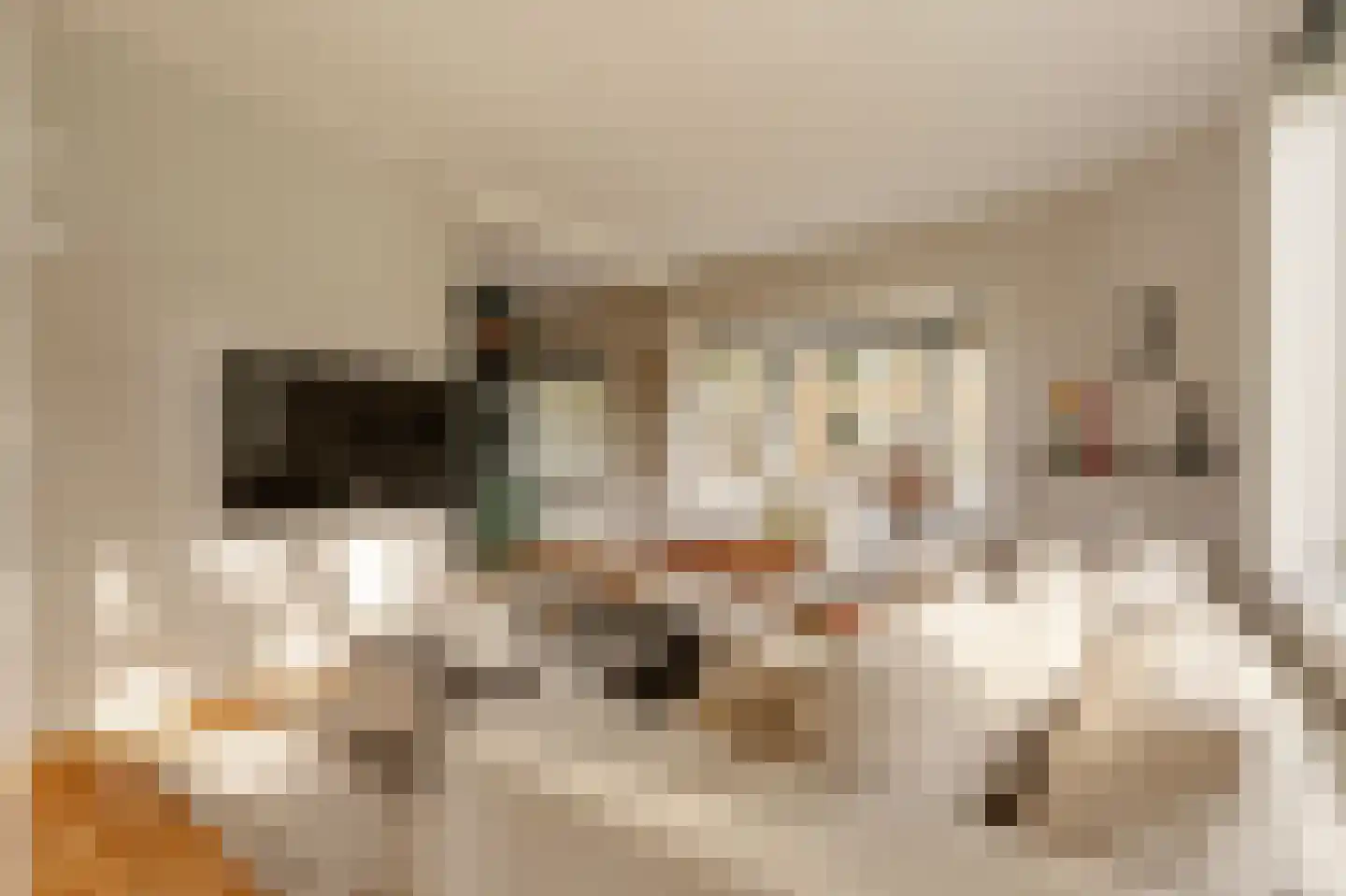 Lanseloetstraat 1 H Amsterdam thumbnail 9