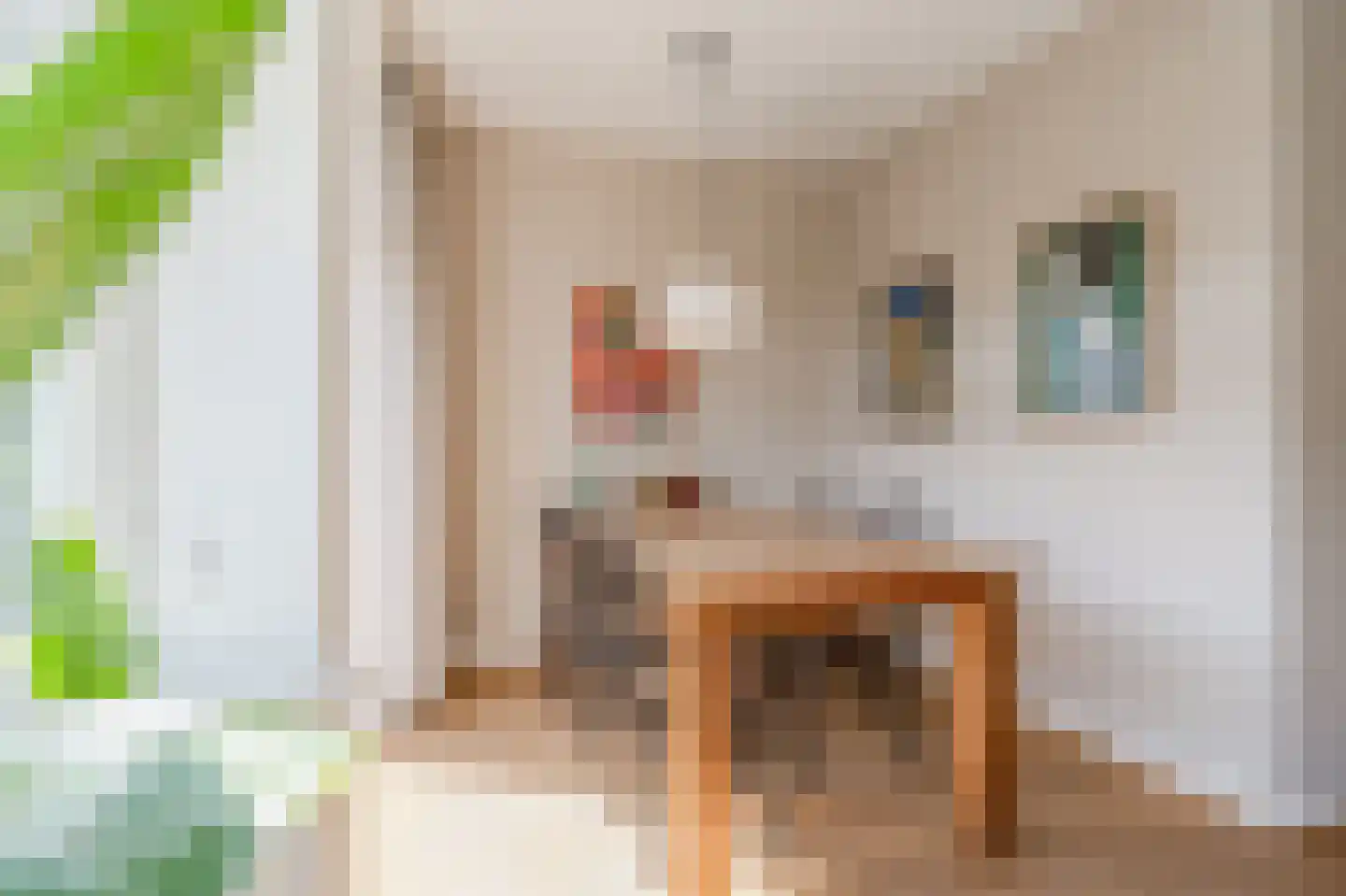 Lanseloetstraat 11 2 Amsterdam thumbnail 14