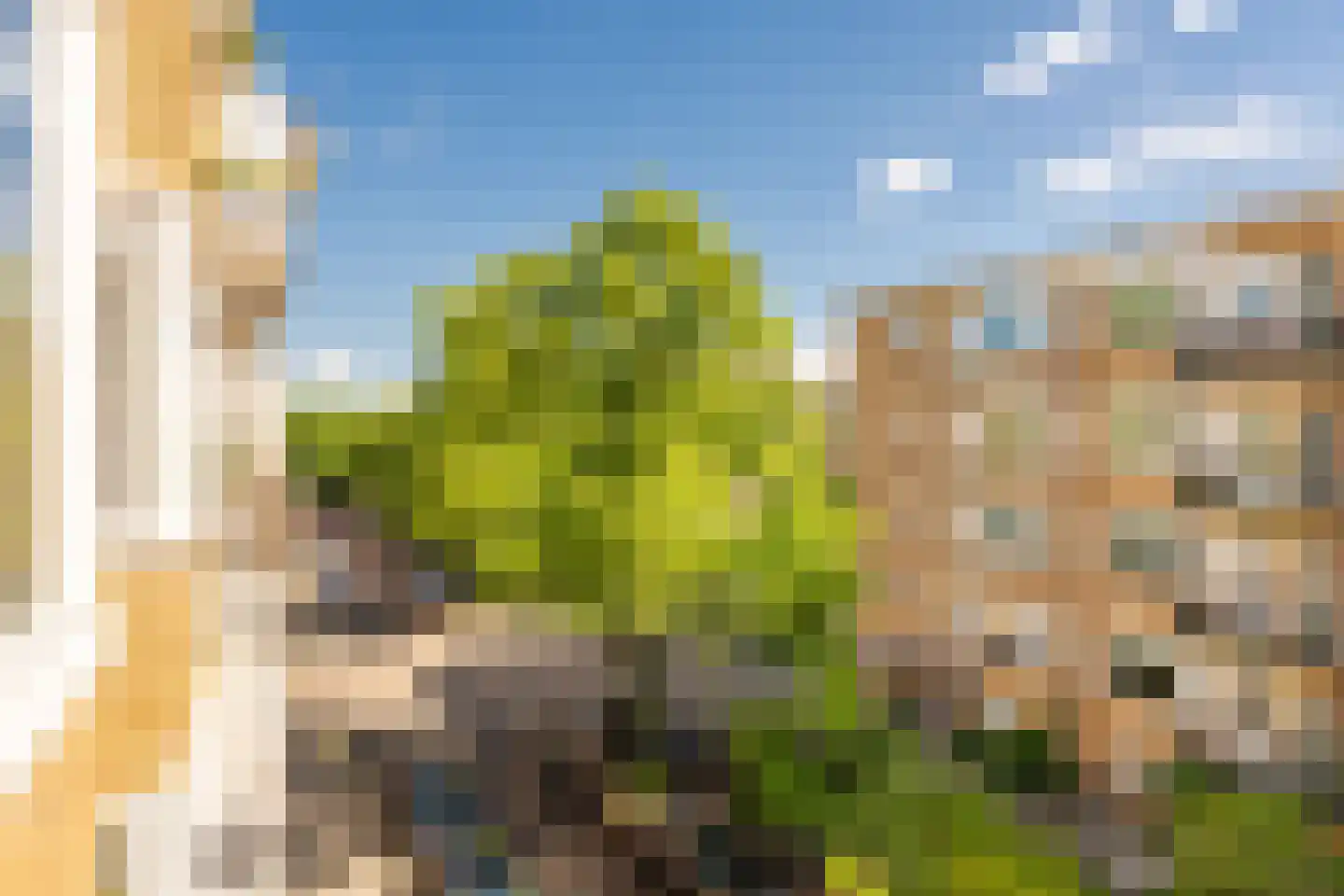 Lanseloetstraat 11 2 Amsterdam thumbnail 17