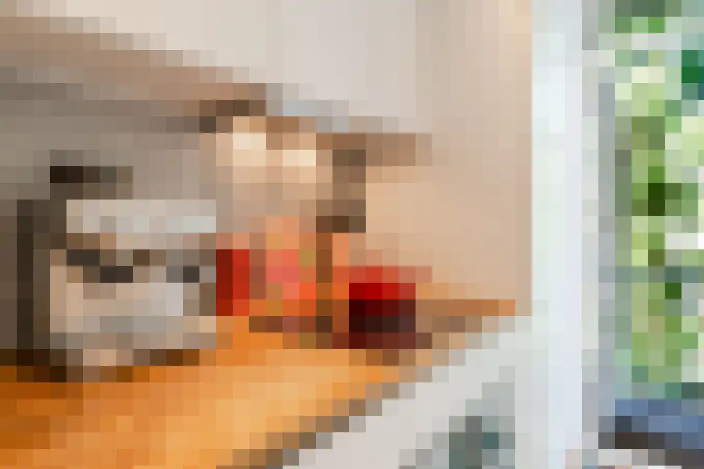 Lanseloetstraat 11 2 Amsterdam thumbnail 21