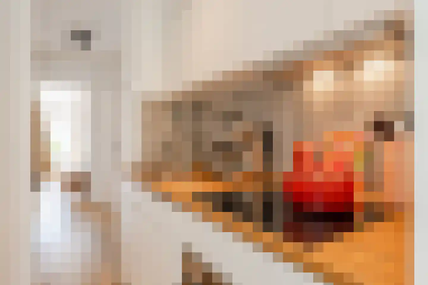 Lanseloetstraat 11 2 Amsterdam thumbnail 23