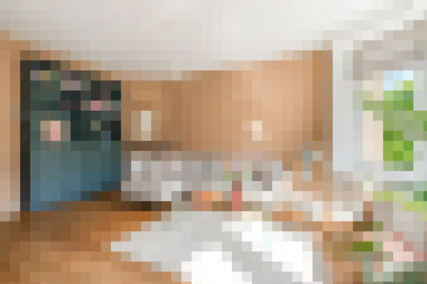 Lanseloetstraat 11 2 Amsterdam thumbnail 9