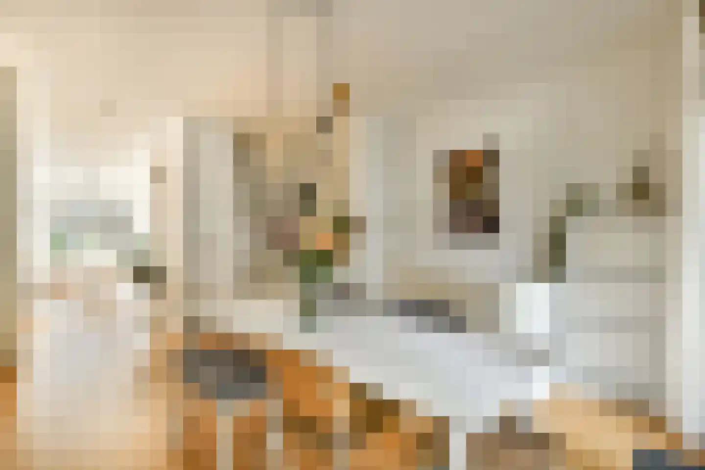 Lanseloetstraat 14 H Amsterdam thumbnail 15