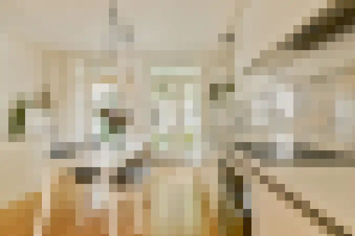 Lanseloetstraat 14 H Amsterdam thumbnail 16