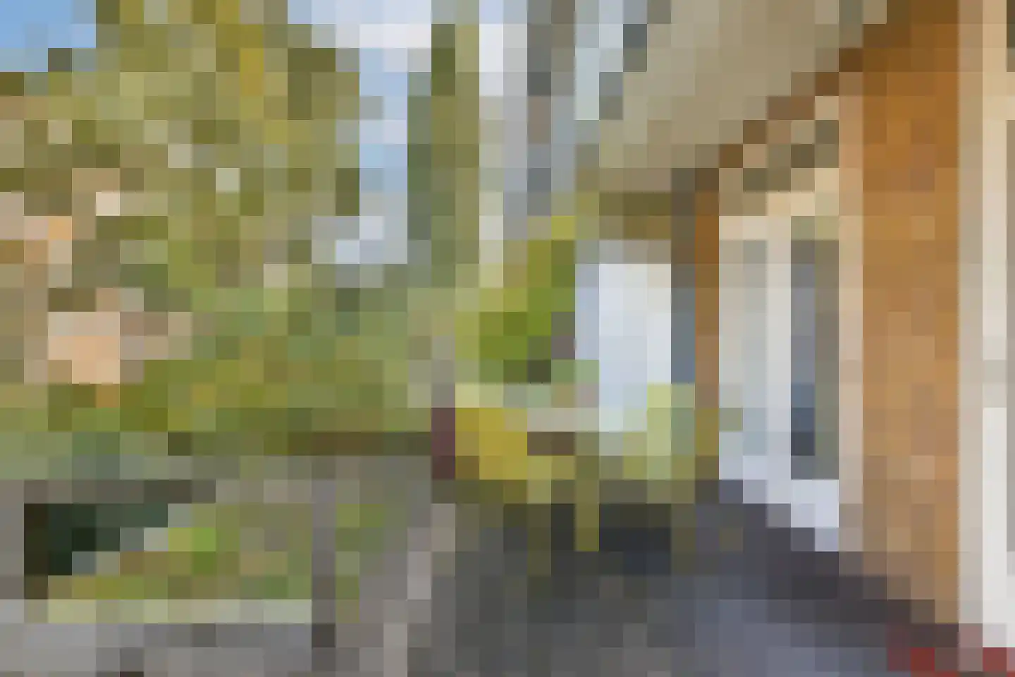 Lanseloetstraat 14 H Amsterdam thumbnail 23