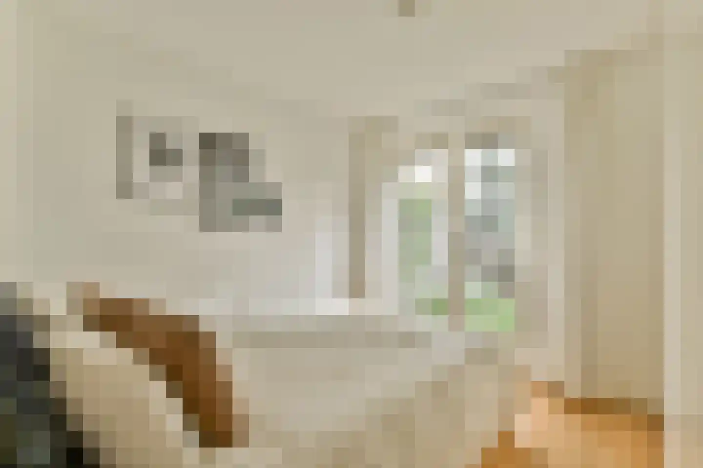 Lanseloetstraat 14 H Amsterdam thumbnail 24