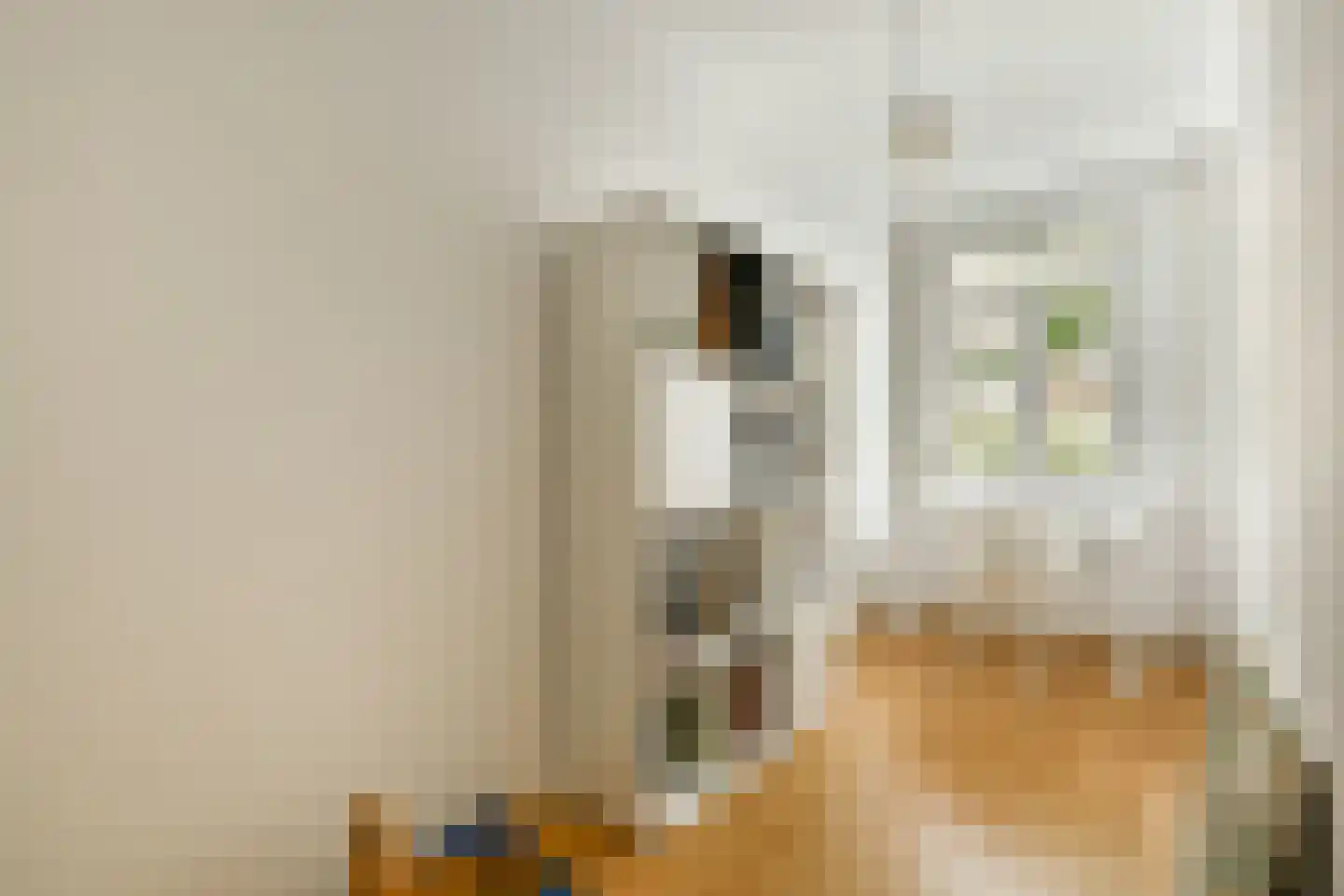 Lanseloetstraat 14 H Amsterdam thumbnail 30