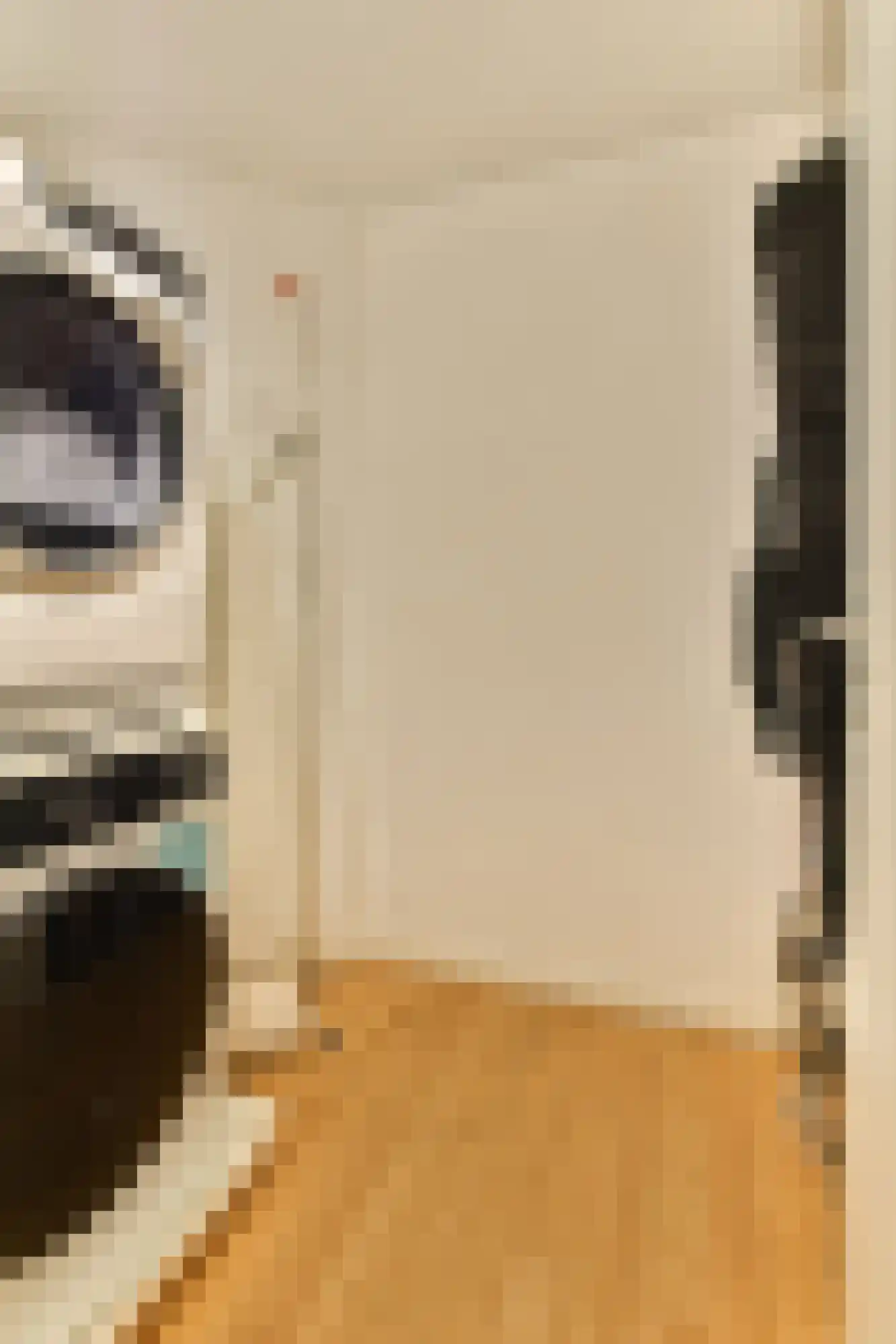 Lanseloetstraat 14 H Amsterdam thumbnail 32