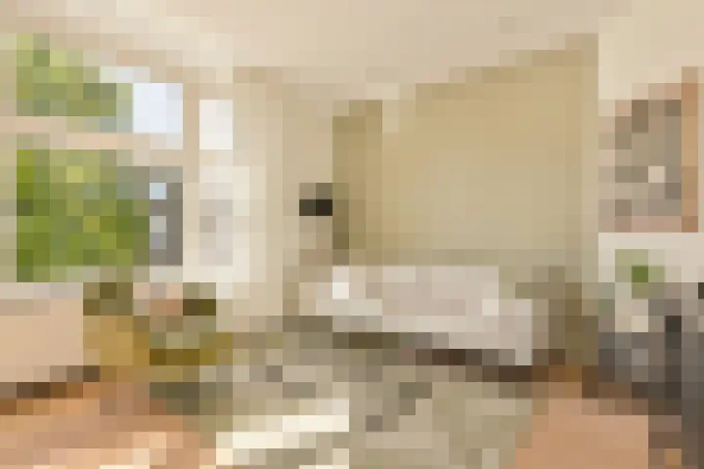 Lanseloetstraat 24 3 Amsterdam thumbnail 10
