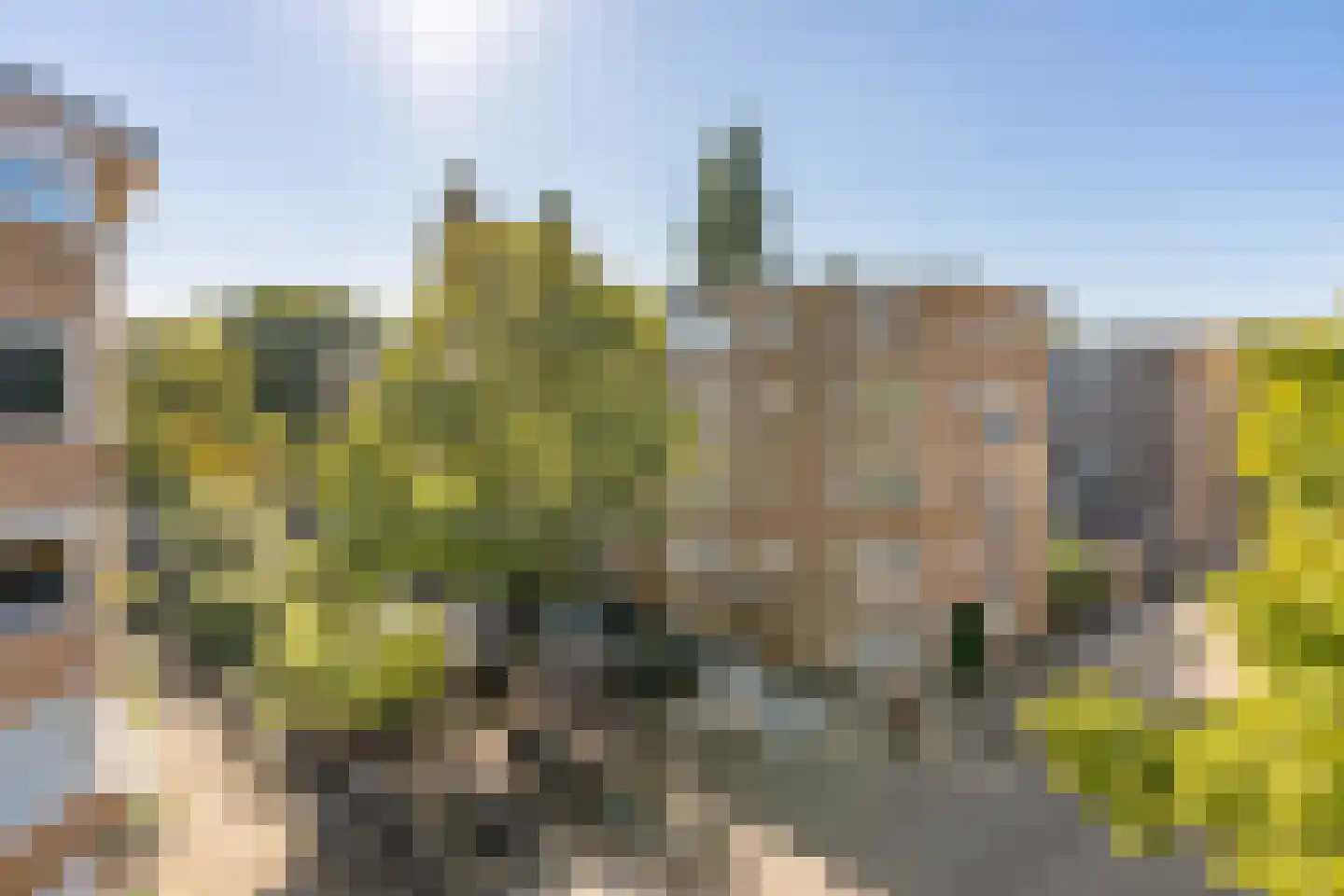 Lanseloetstraat 24 3 Amsterdam thumbnail 26