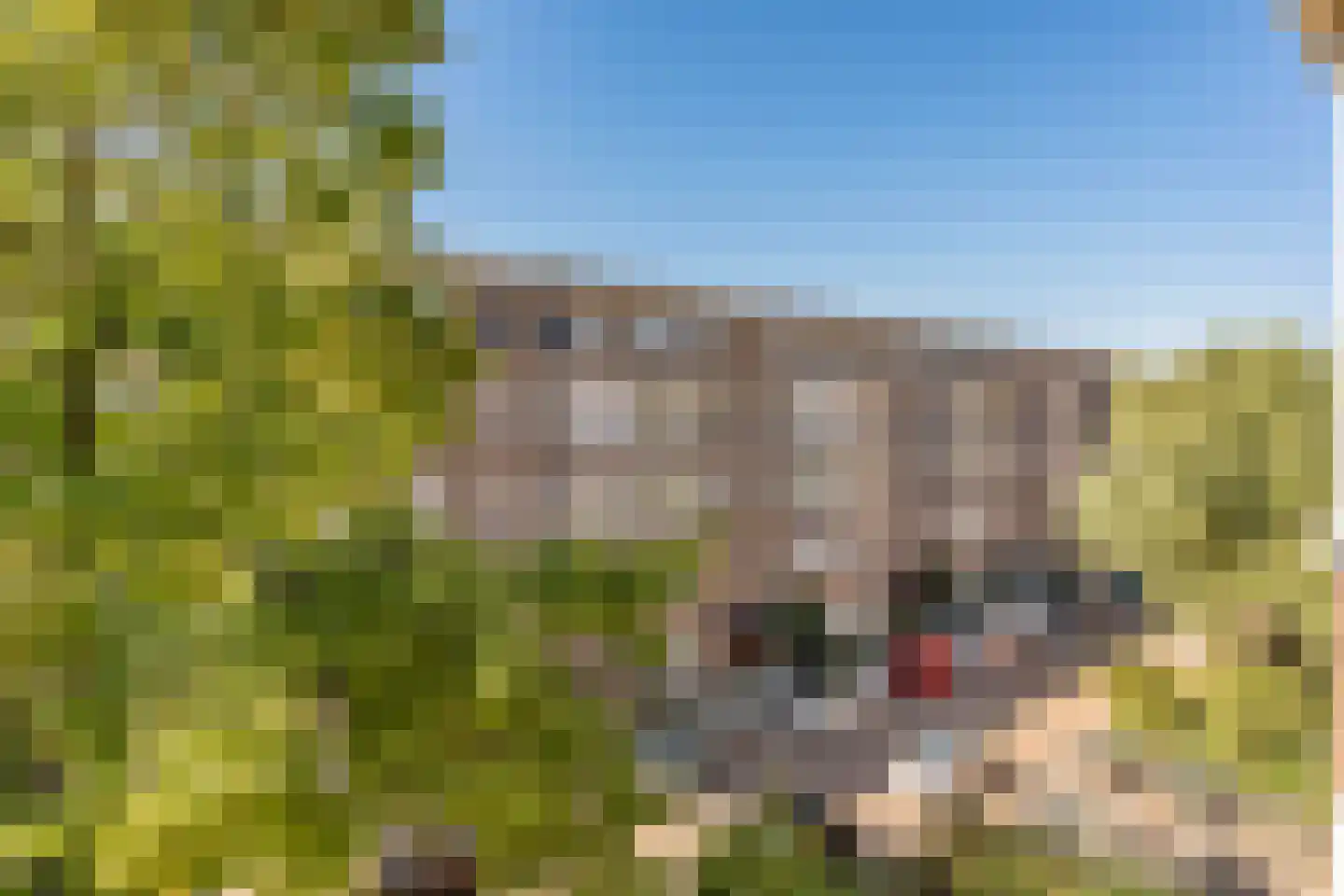 Lanseloetstraat 24 3 Amsterdam thumbnail 27
