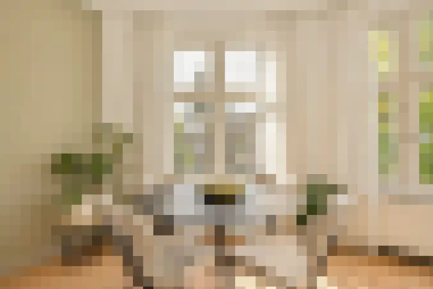 Lanseloetstraat 24 3 Amsterdam thumbnail 6
