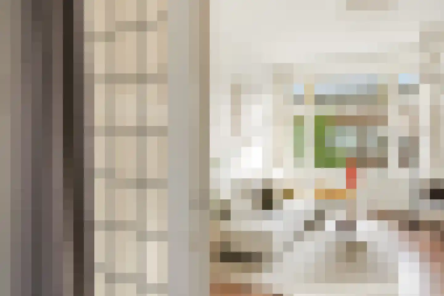 Lanseloetstraat 29 3 Amsterdam thumbnail 15