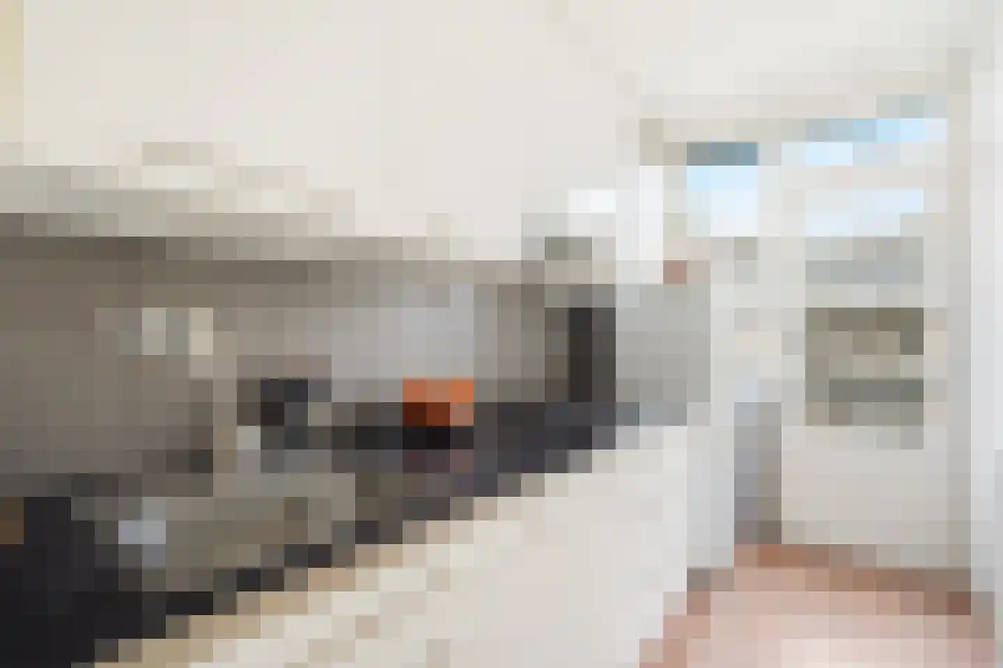 Lanseloetstraat 29 3 Amsterdam thumbnail 22