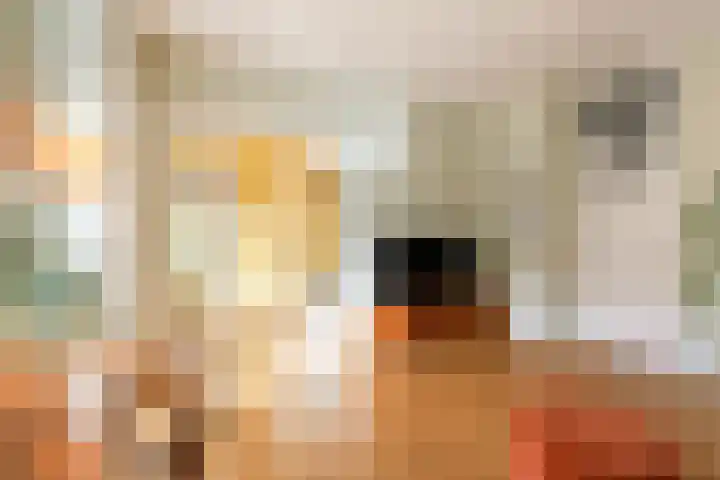 Lanseloetstraat 30 3 Amsterdam thumbnail 11
