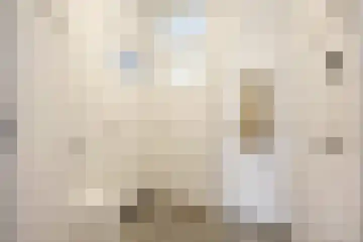 Lanseloetstraat 30 3 Amsterdam thumbnail 5