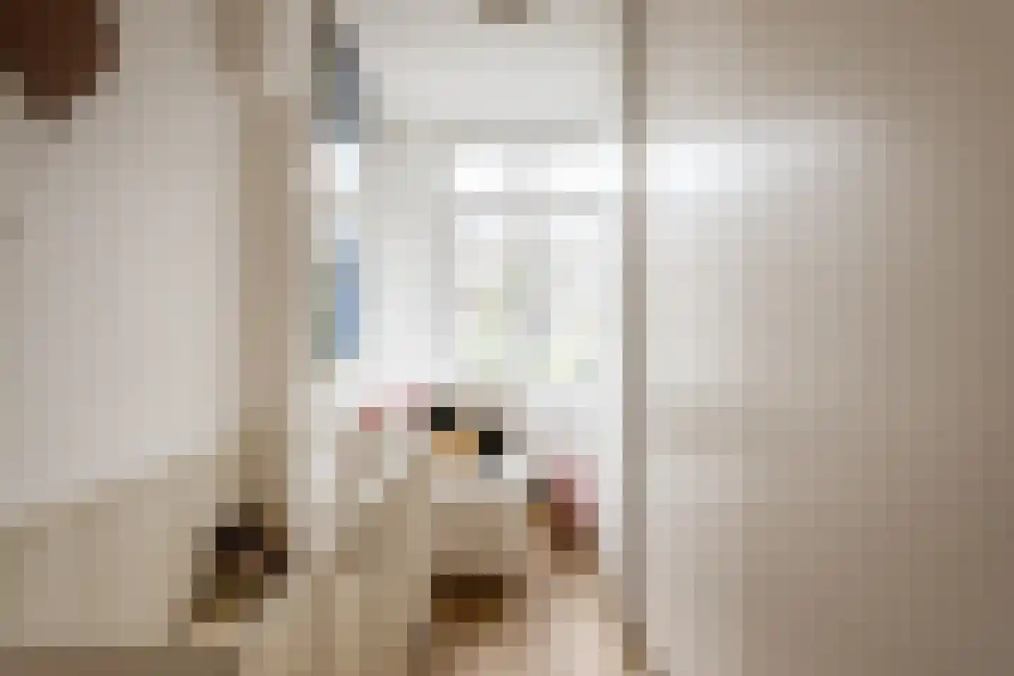 Lanseloetstraat 31 2 Amsterdam thumbnail 26
