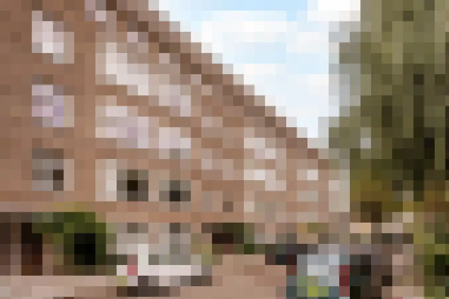 Lanseloetstraat 31 2 Amsterdam thumbnail 35