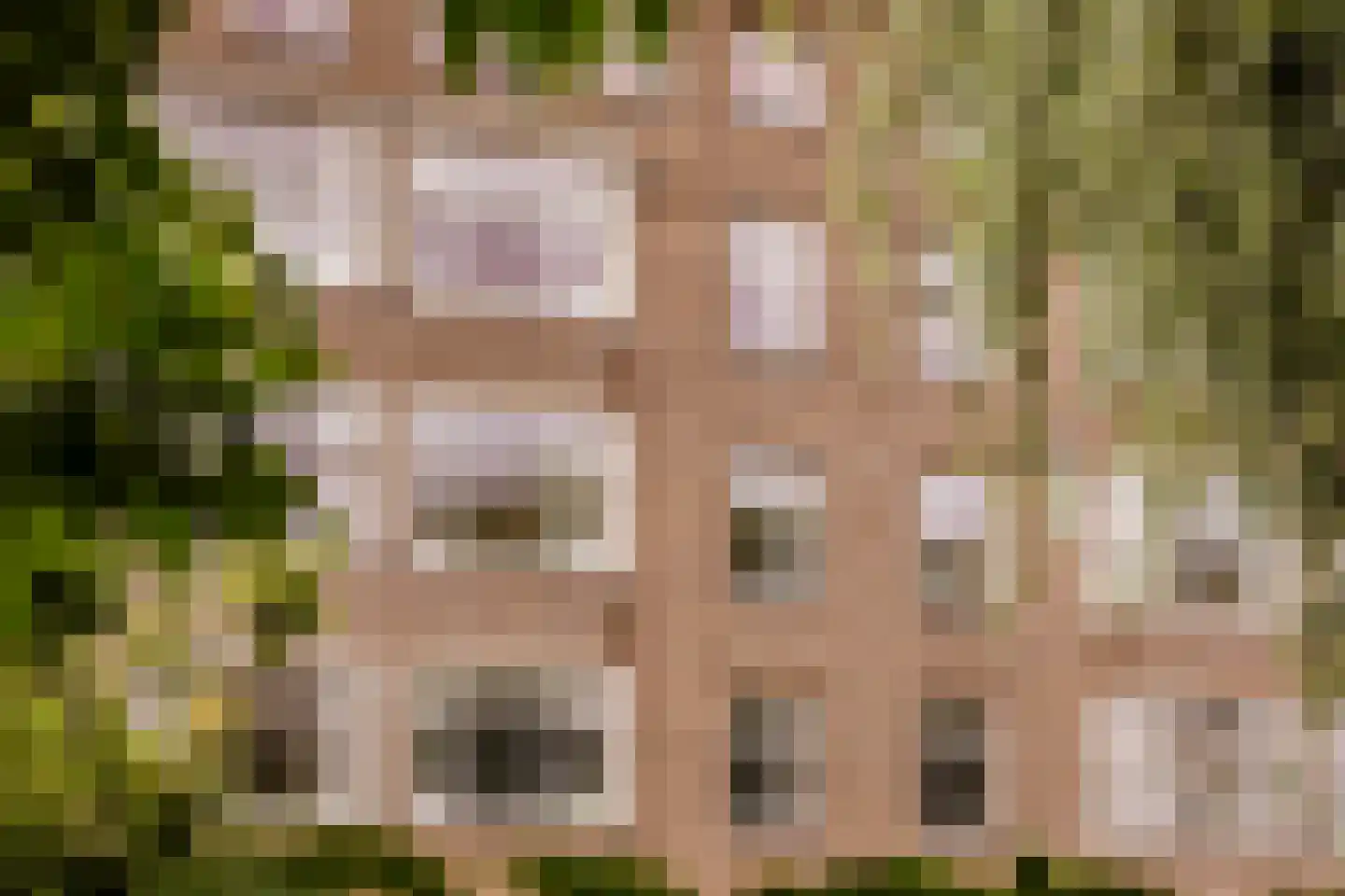 Lanseloetstraat 31 2 Amsterdam thumbnail 36