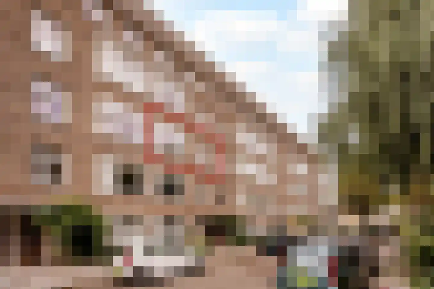 Lanseloetstraat 31 2 Amsterdam thumbnail 7
