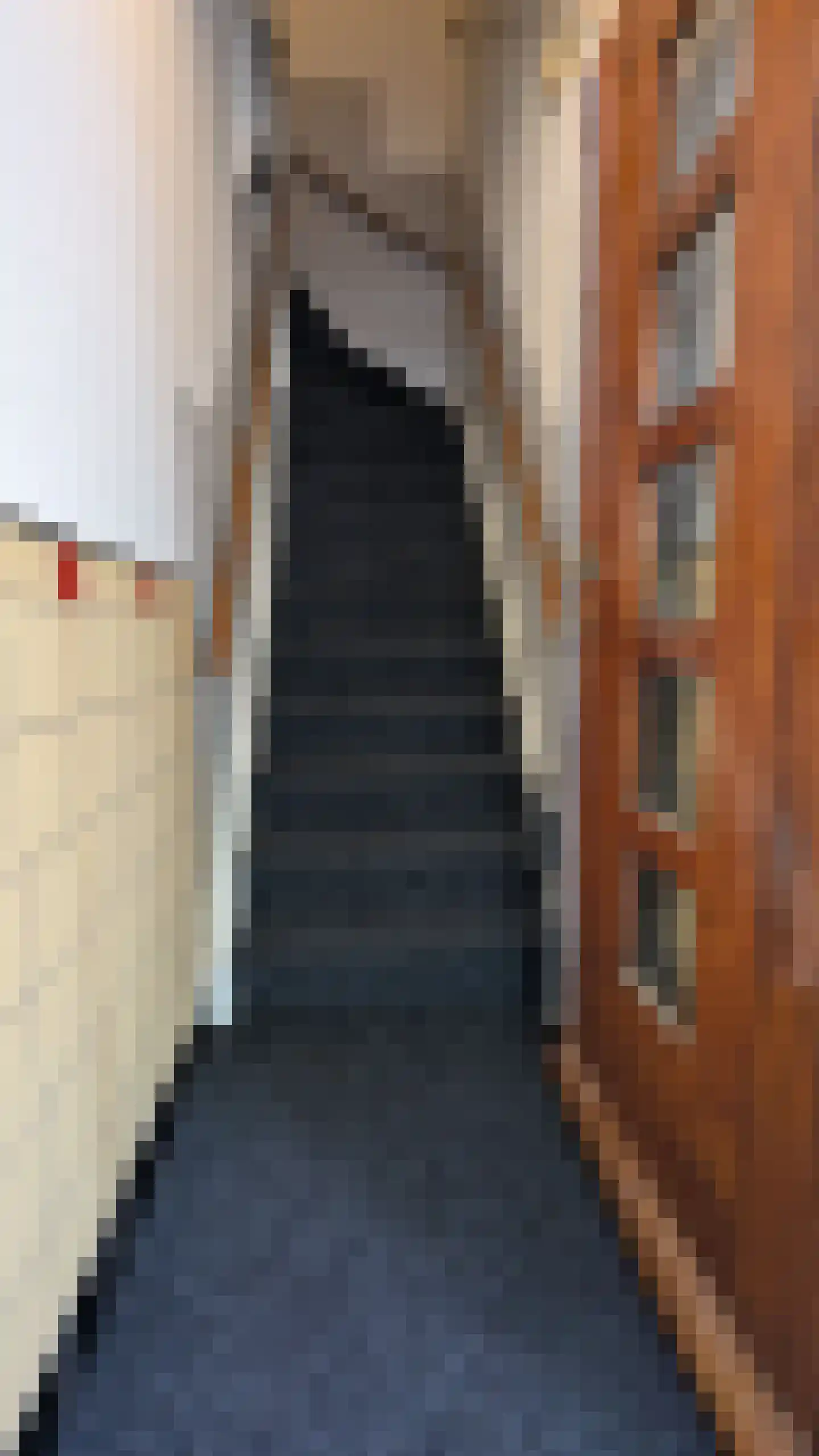 Lanseloetstraat 31 2 Amsterdam thumbnail 9