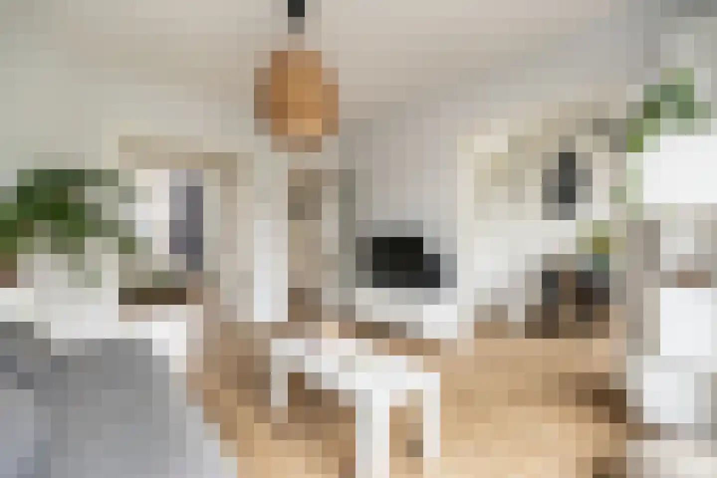 Lanseloetstraat 31 3 Amsterdam thumbnail 11