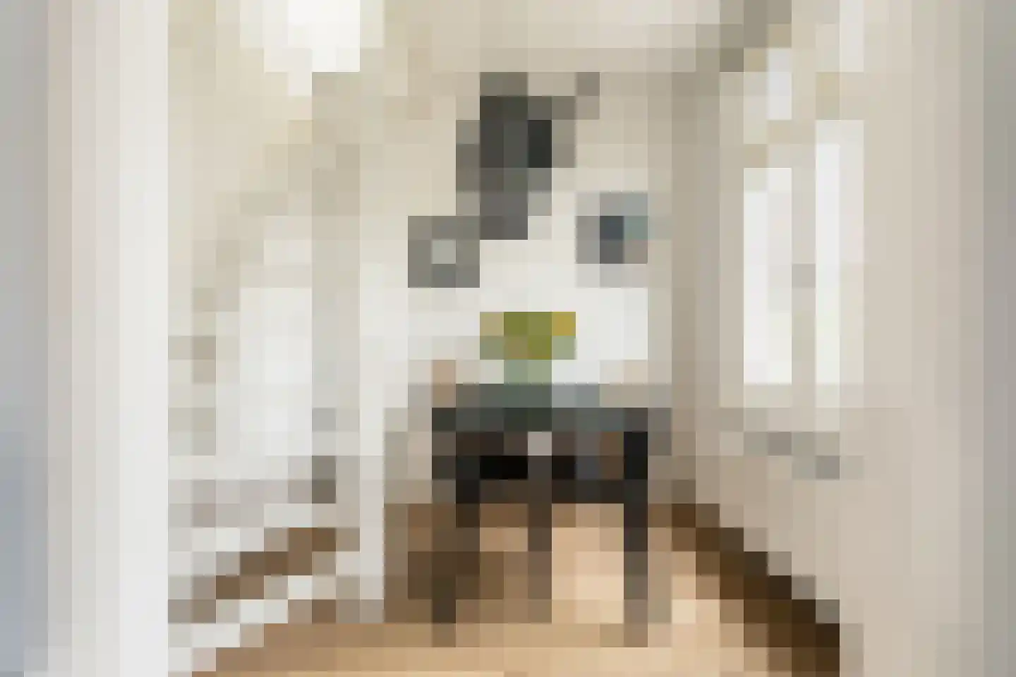 Lanseloetstraat 31 3 Amsterdam thumbnail 14