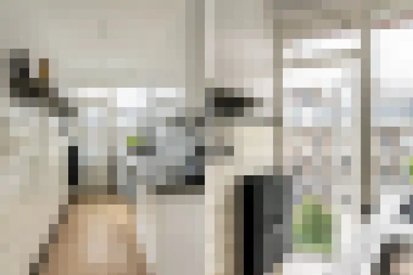 Lanseloetstraat 31 3 Amsterdam thumbnail 18