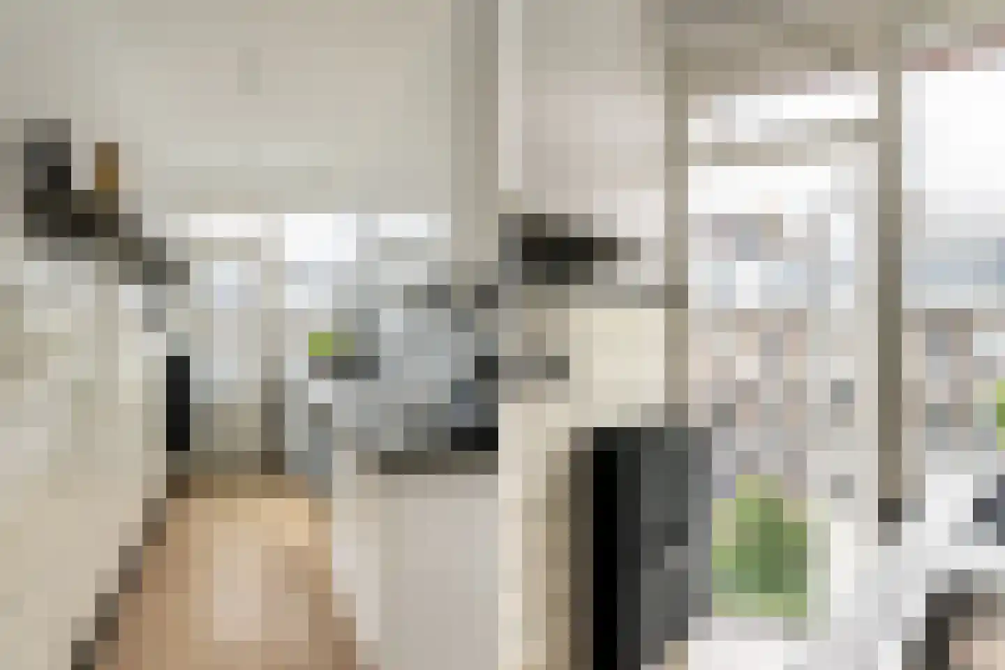 Lanseloetstraat 31 3 Amsterdam thumbnail 20