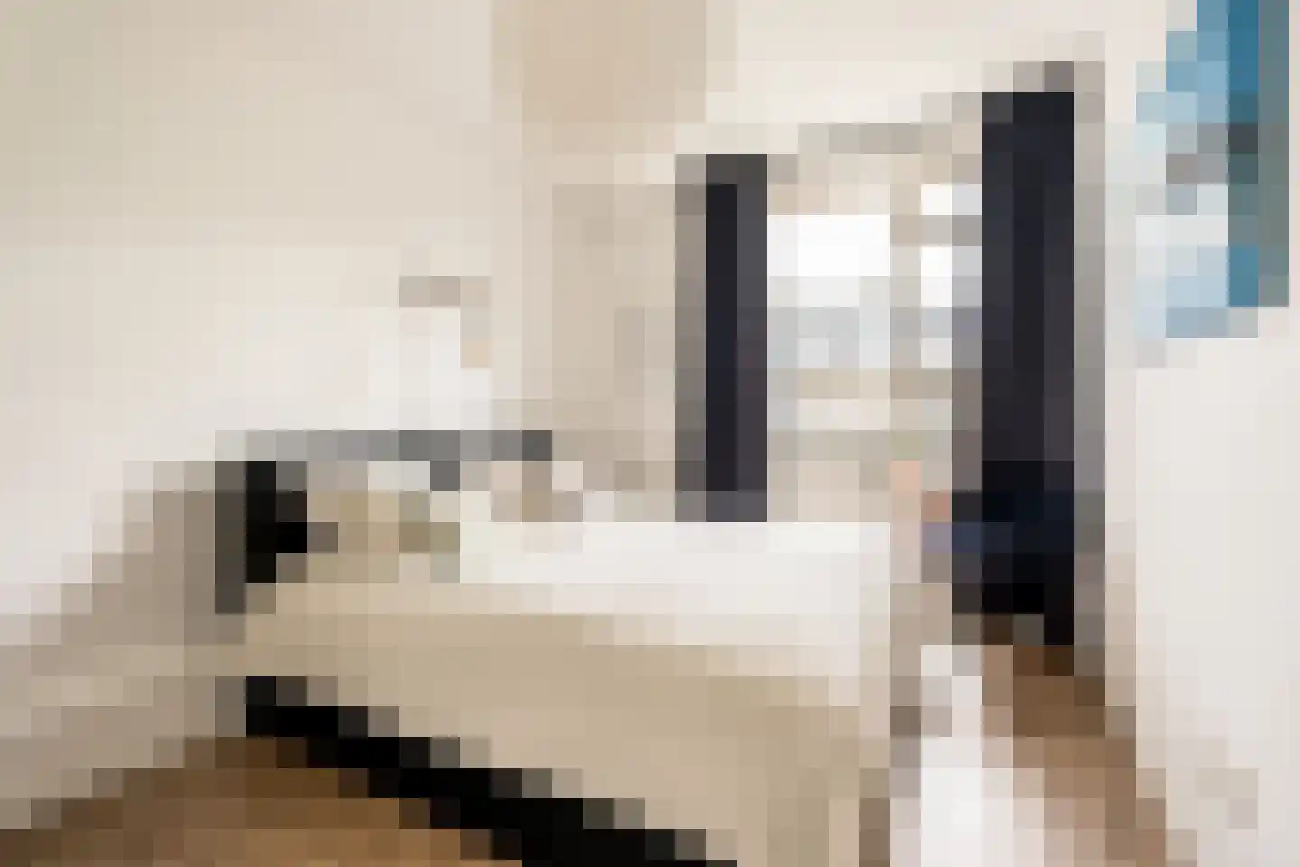 Lanseloetstraat 31 3 Amsterdam thumbnail 20