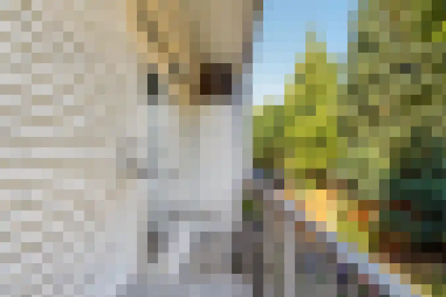 Lanseloetstraat 32 1 Amsterdam thumbnail 32