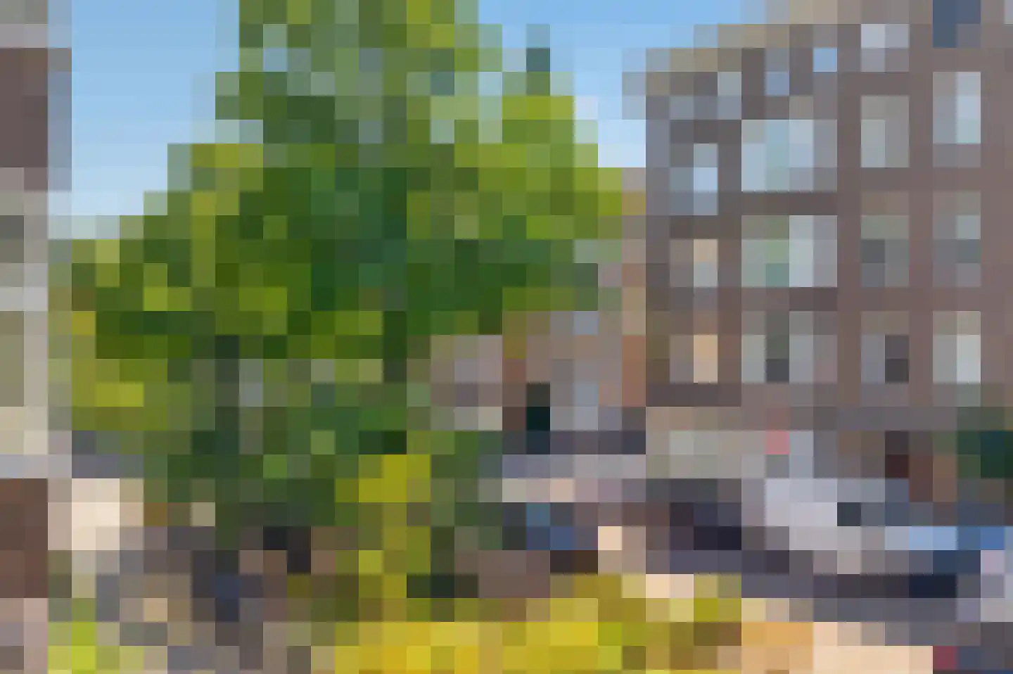 Lanseloetstraat 32 1 Amsterdam thumbnail 41
