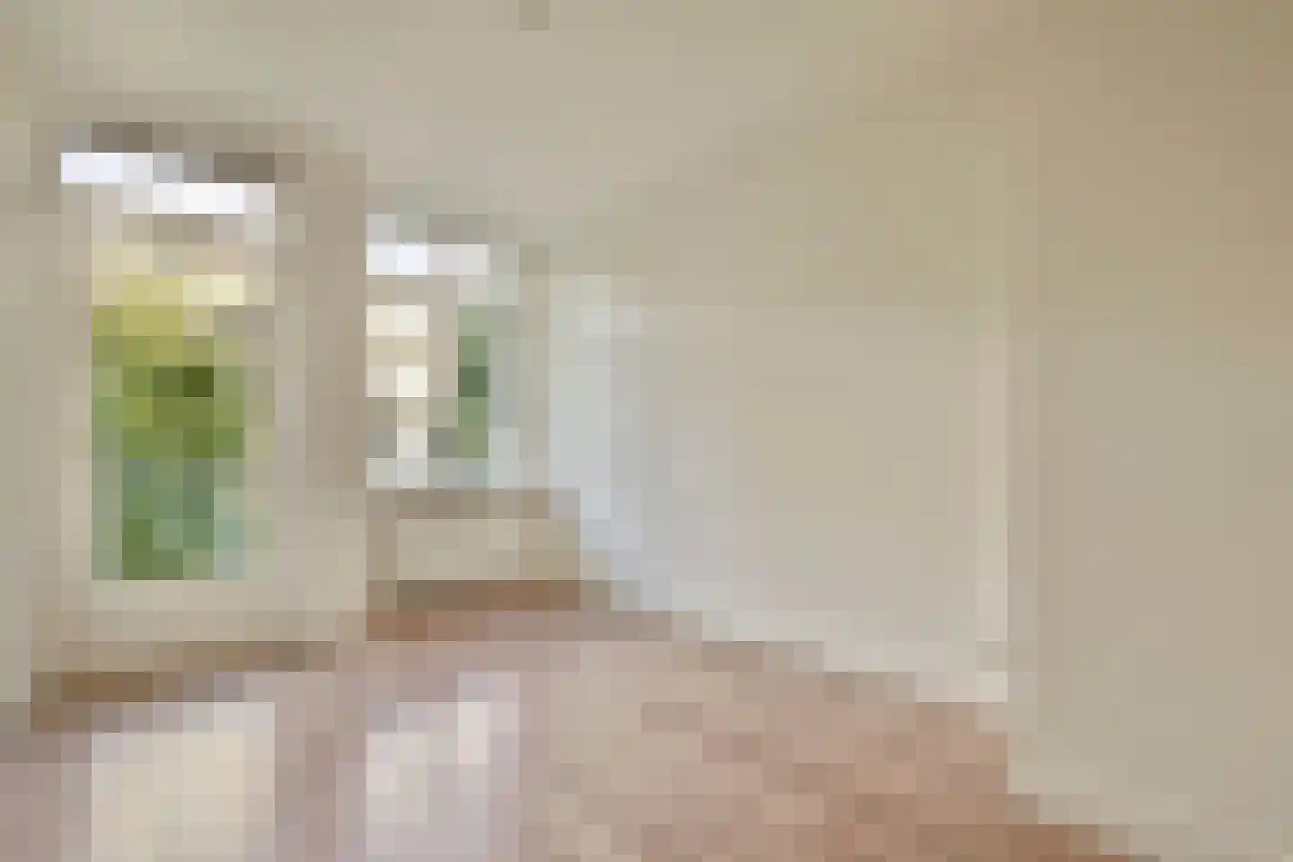 Lanseloetstraat 32 2 Amsterdam thumbnail 17