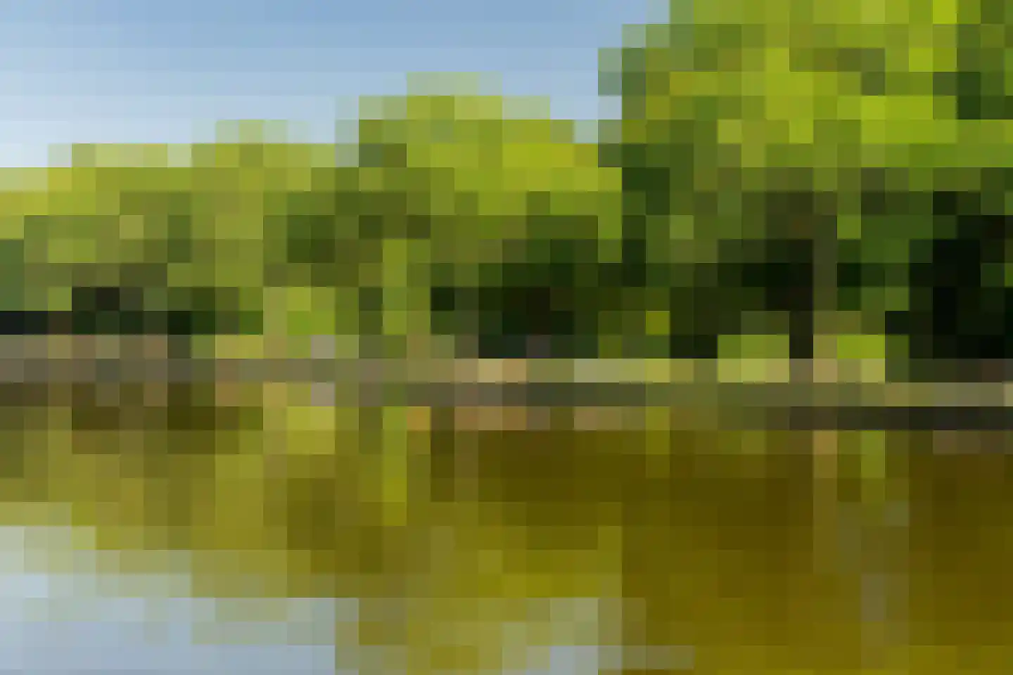 Lanseloetstraat 32 2 Amsterdam thumbnail 24