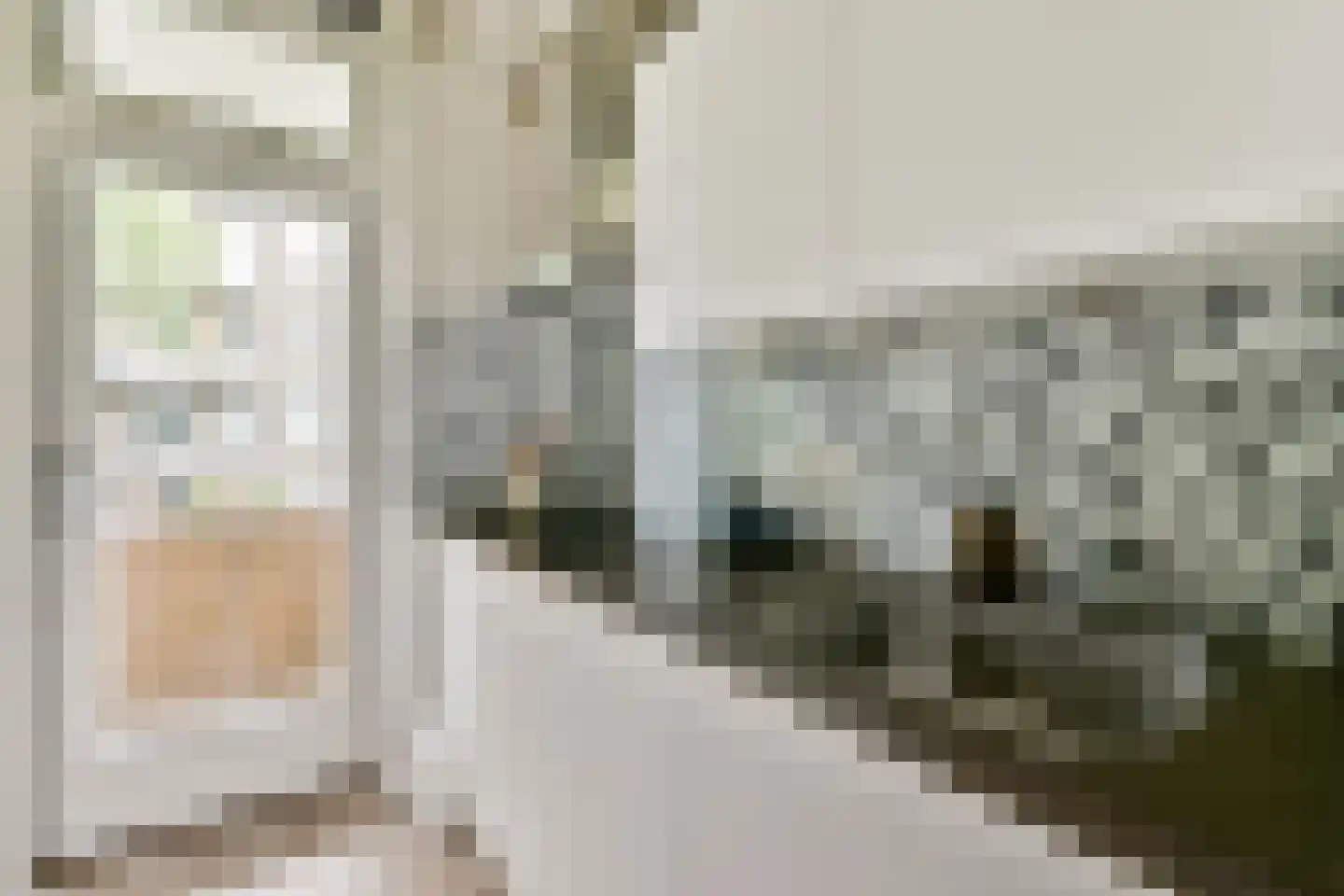 Lanseloetstraat 5 2 Amsterdam thumbnail 10