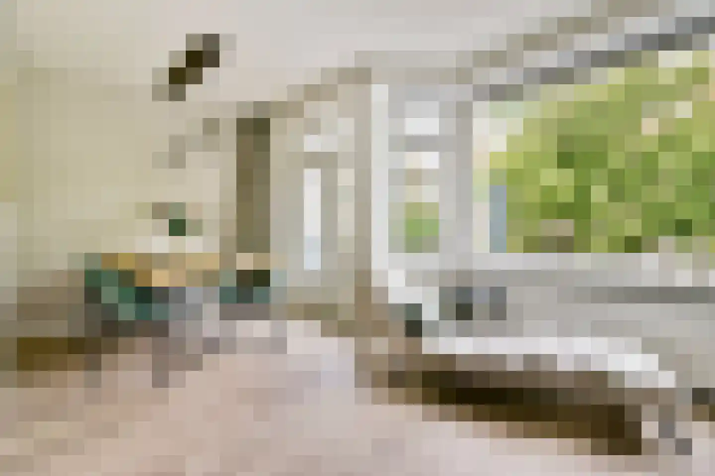 Lanseloetstraat 5 2 Amsterdam thumbnail 5
