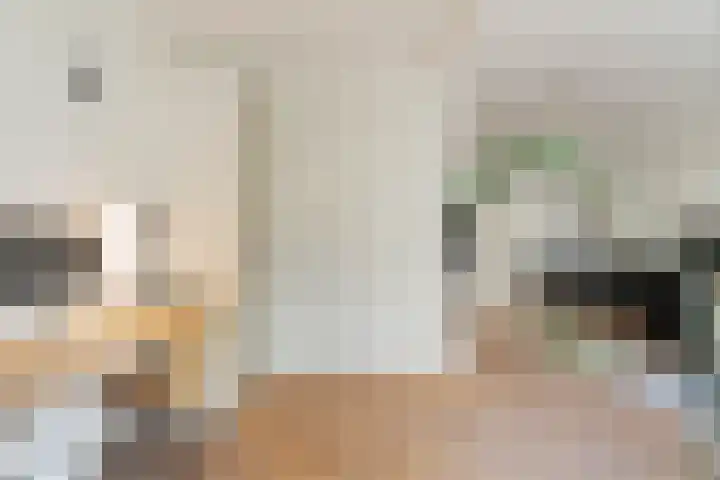 Lanseloetstraat 6 1 Amsterdam thumbnail 5